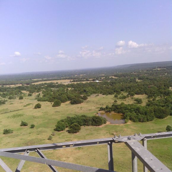 Meet your Posher, Amy - Picture 1 of 1